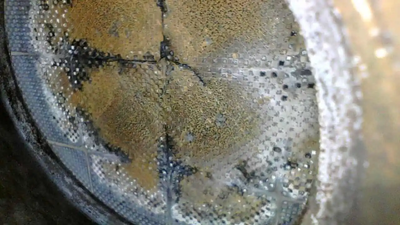 Asche im DPF entfernen – professionelle Reinigung des Dieselpartikelfilters für freie Durchströmung und längere Lebensdauer.